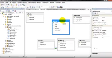 Miniatura SQL Server Data