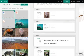 Miniatura Microsoft Sway